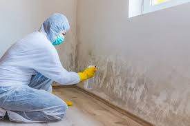 Best Mold Remediation for Healthcare Facilities  in Troy, MO